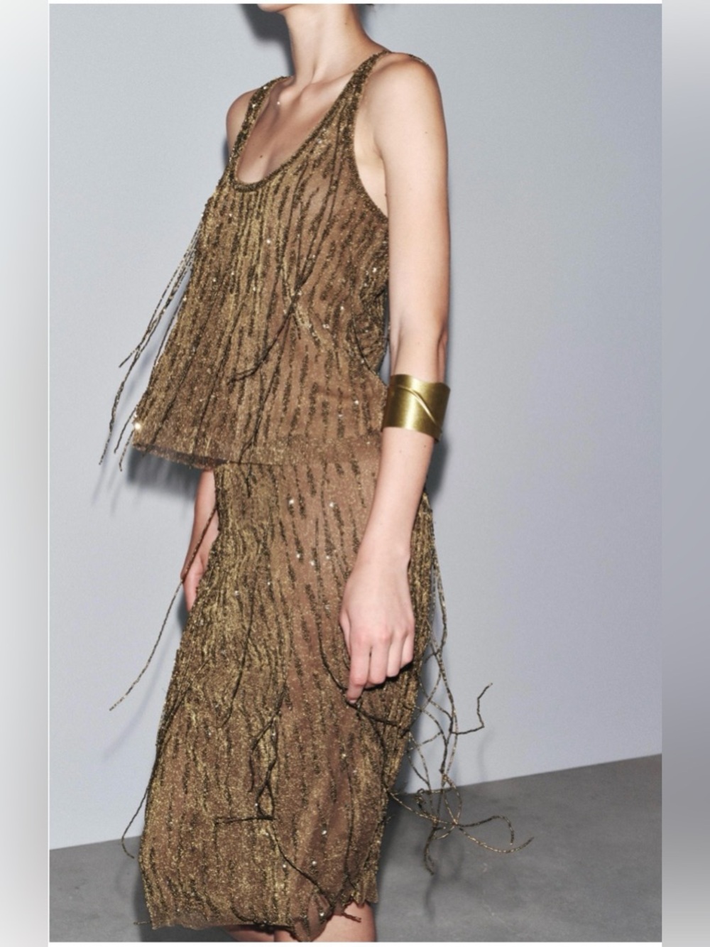New with tags! Beautiful Zara MetallicBeaded Fringe Tank Top - Picture 3 of 4